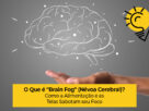 O Que é "Brain Fog" (Névoa Cerebral)? Como a Alimentação e as Telas Sabotam seu Foco